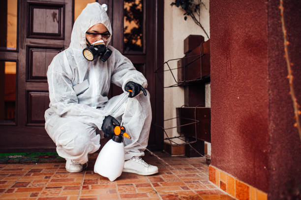 Reliable Ant Control contractor in Orange, VA by Nex Pest Control